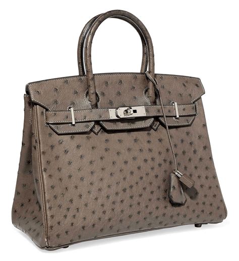 hermes birkin ostrich price.